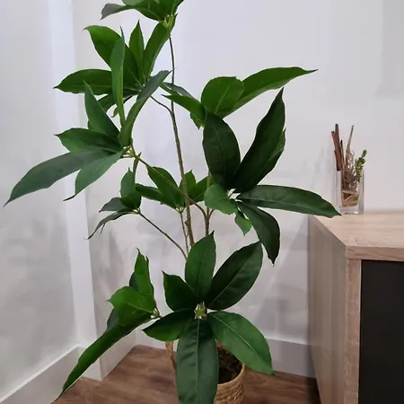 Tu Hogar En - Garaje Grande - 3hab 2banos- Ideal Familias Lejlighed *