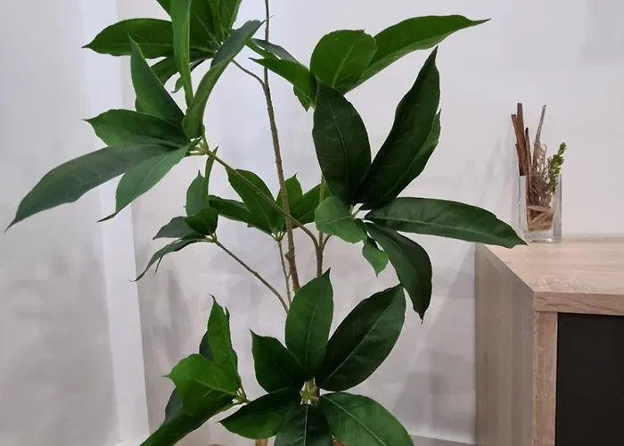 Tu Hogar En - Garaje Grande - 3hab 2banos- Ideal Familias Lejlighed *